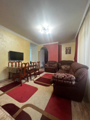 Appartment in the city center